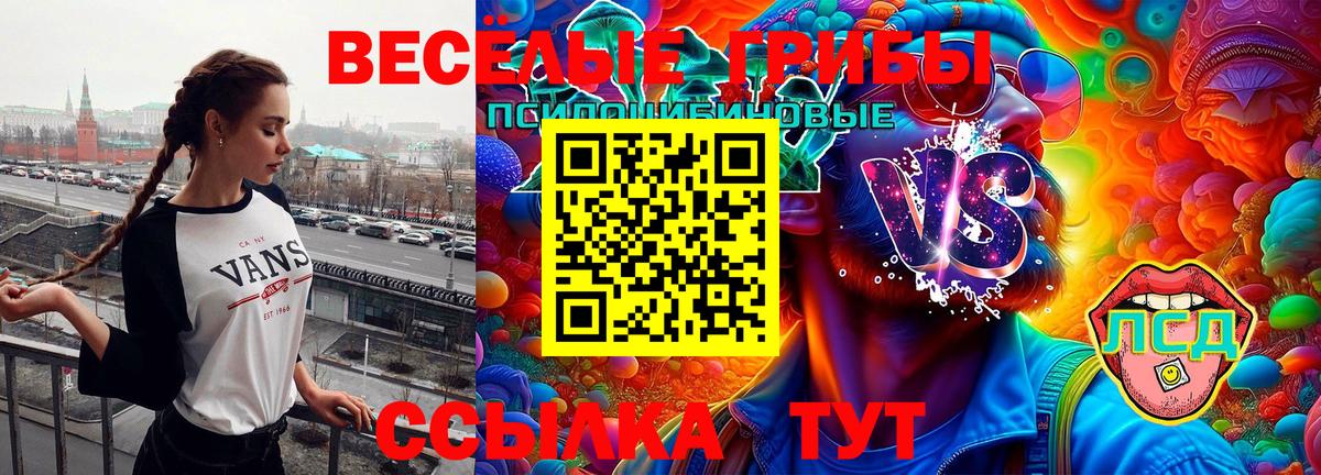 Новоуральск  Псилоцибиновые грибы GOLDEN TEACHER  Вход с VPN  Галлюциногенные грибы ЛСД 