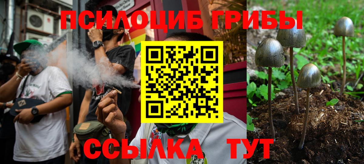 хочу   Новоуральск  Галлюциногенные грибы ЛСД 